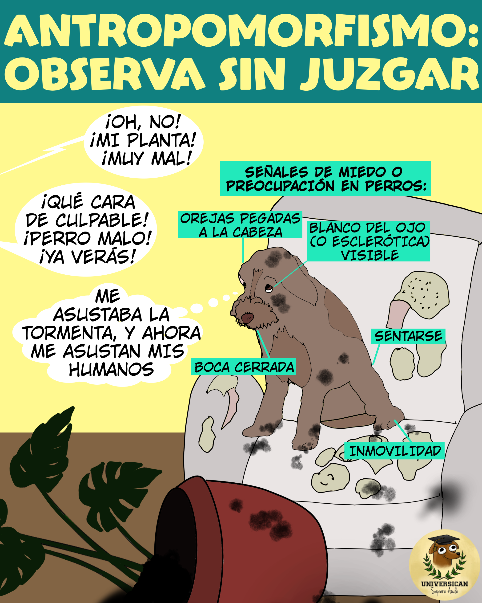 perro destruye planta y sus humanos le gritan "¡perro malo!", perro asustado por tormenta ahora teme a los humanos. Etiquetas indican signos reales de miedo: orejas pegadas atrás, blanco del ojo visible, boca cerrada, comportamientos de desplazamiento e inmovilidad