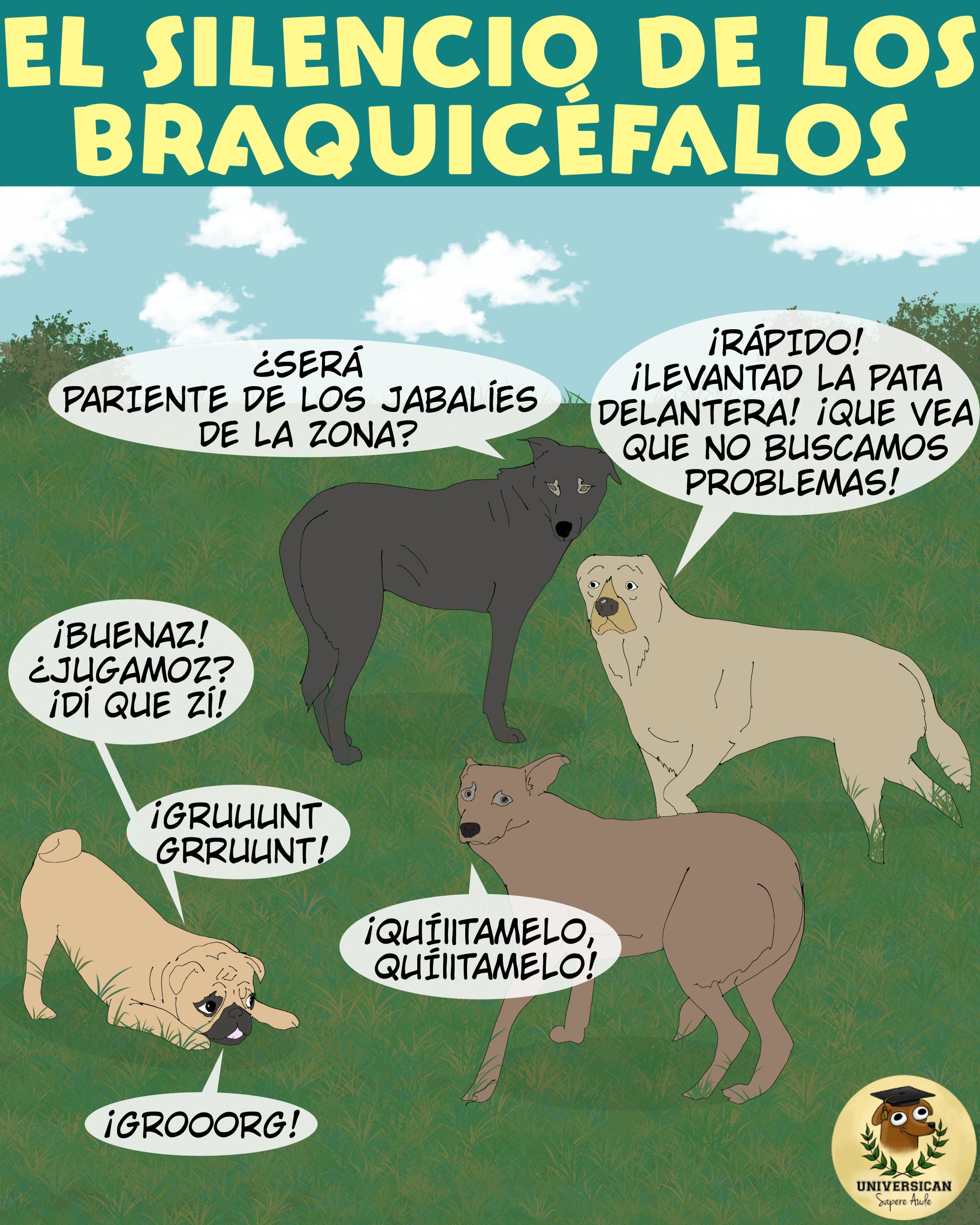 Un perro pug invita a otro perro a jugar, pero el segundo se asusta del pug porque no puede comprender su lenguaje.