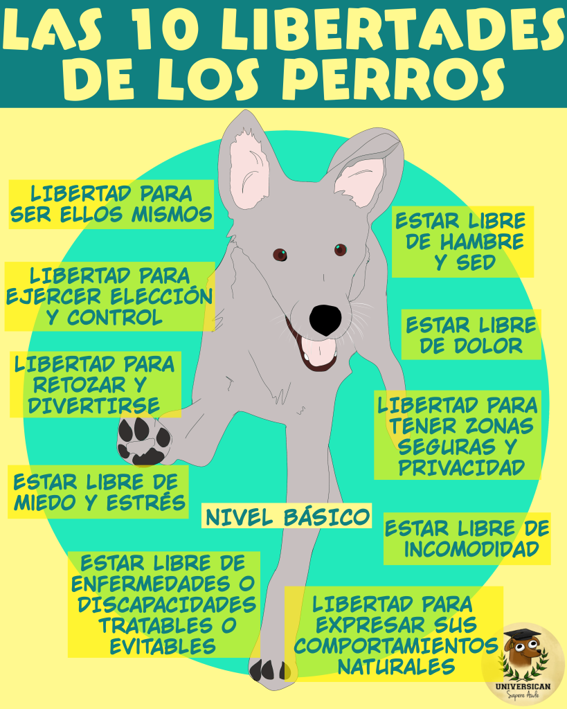 El nivel más básico de las libertades que merecen tener los perros