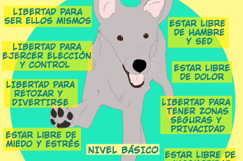 El nivel más básico de las libertades que merecen tener los perros
