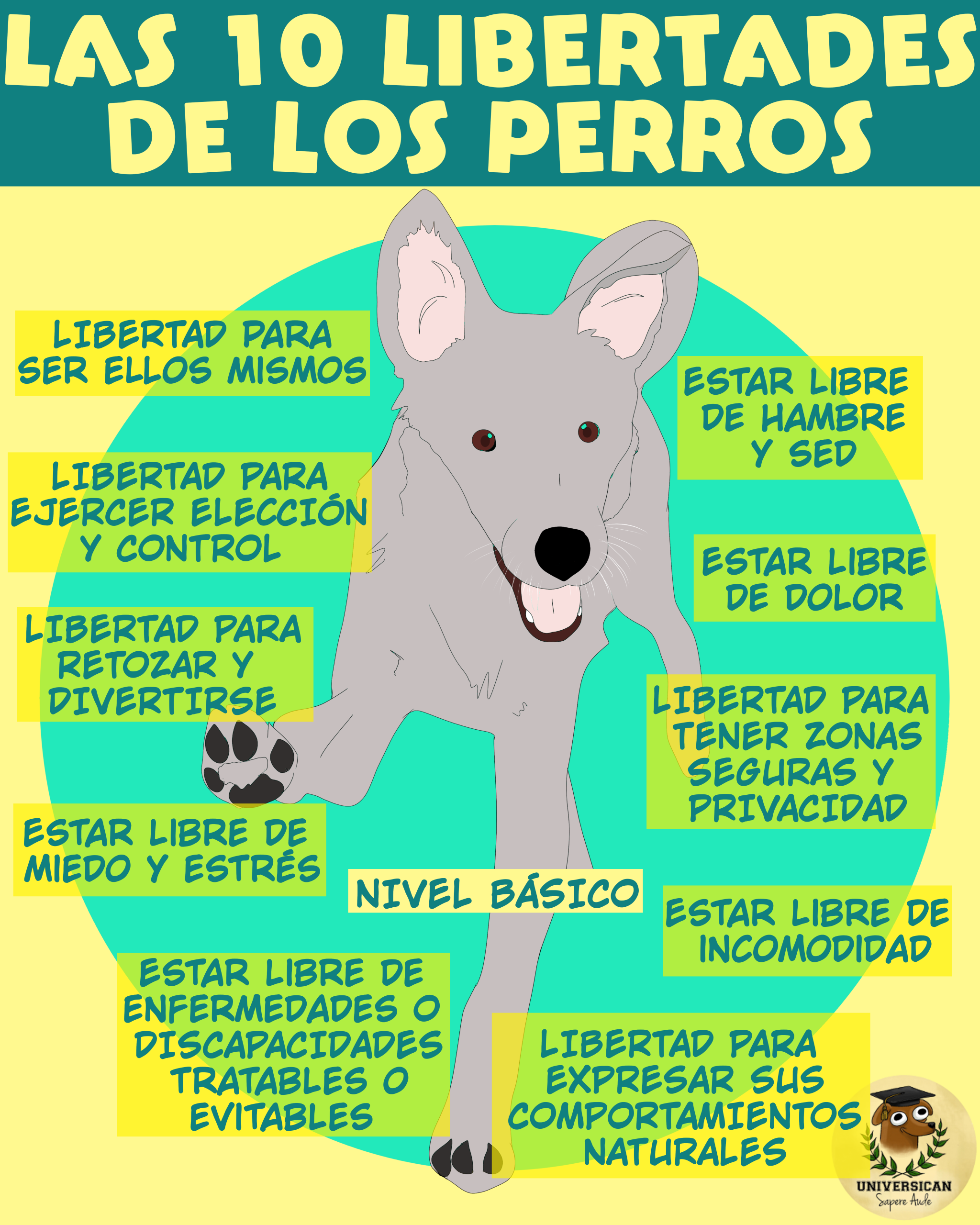 El nivel más básico de las libertades que merecen tener los perros