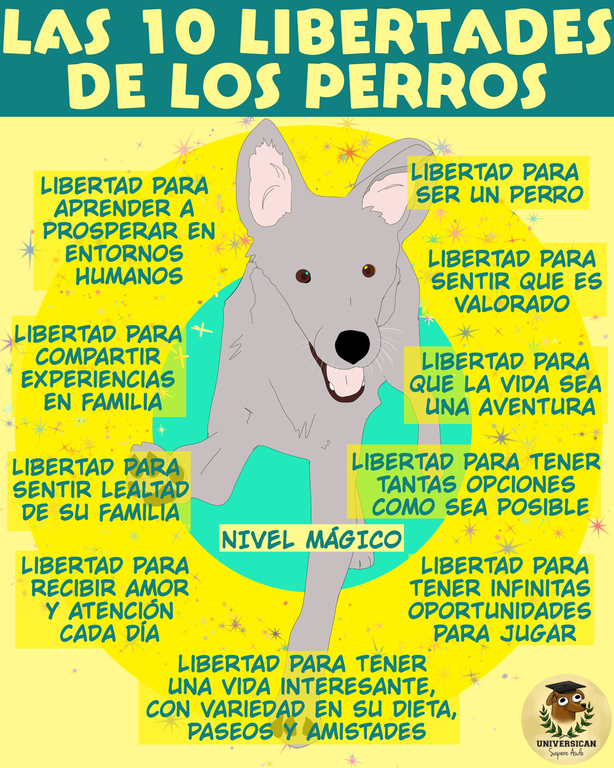 Nivel ideal de libertades para perros.