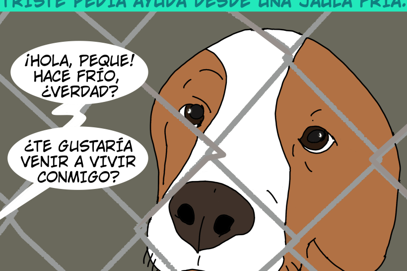 El amor de tu vida espera en una perrera. Historia de San Valentín.