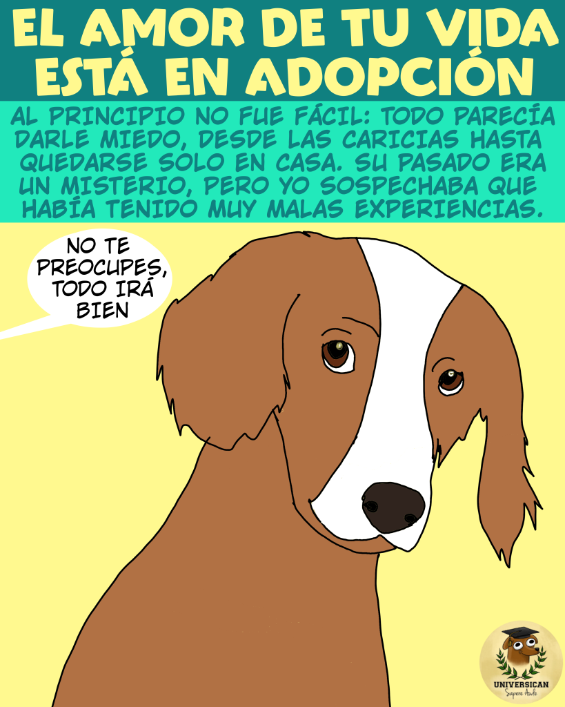 El amor de tu vida espera en una perrera. Historia de San Valentín.