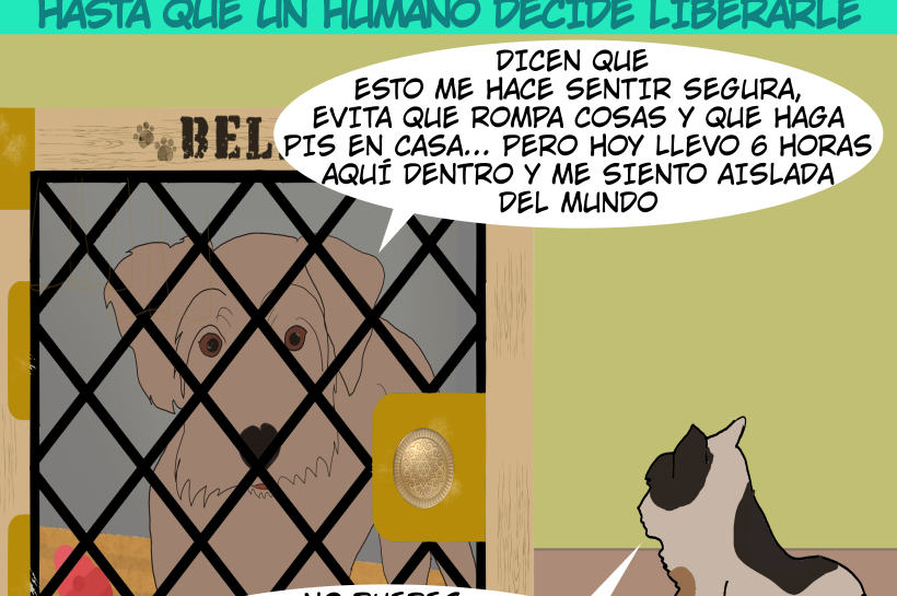 Un perro encerrado en una jaula se siente aislado del mundo, lleva 6 horas allí.