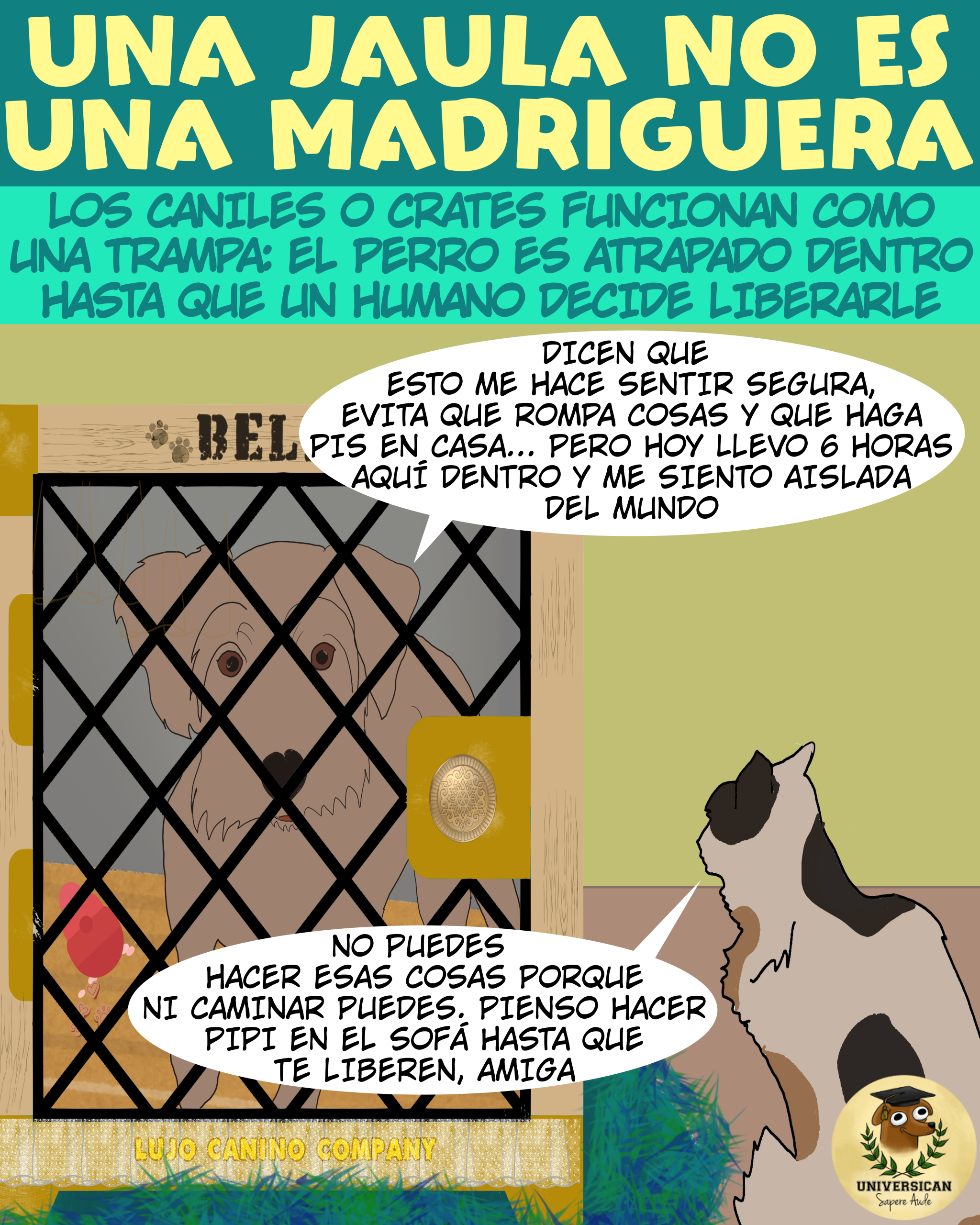 Un perro encerrado en una jaula se siente aislado del mundo, lleva 6 horas allí.