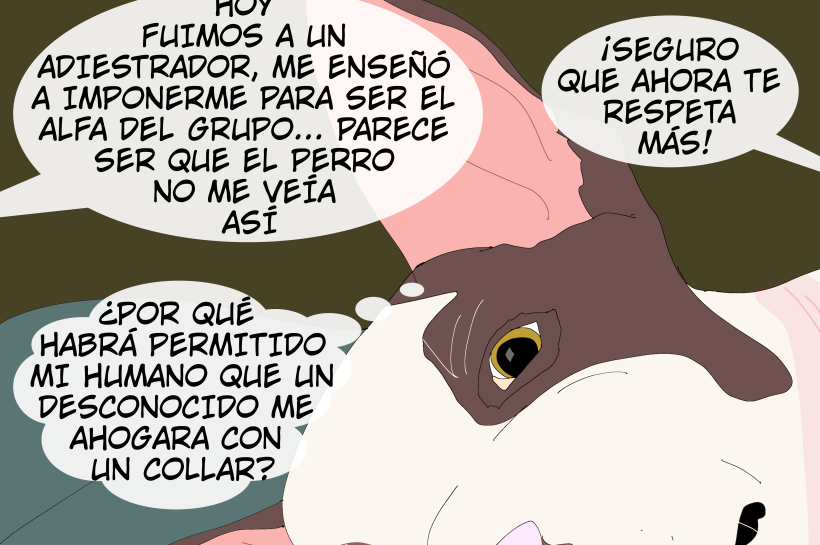 Ilustración de un perro tumbado en cama con cuello rojizo por dolor cervical. Piensa: "¡Todavía me duelen las cervicales!" y "¿Por qué habrá permitido mi humano que un desconocido me ahogara con un collar?". Al fondo, globos humanos dicen: "Hoy fuimos al adiestrador, me enseñó a ser alfa" y "¡Seguro que ahora te respeta más!". Título: "Los perros pierden calidad de sueño si están estresados".
