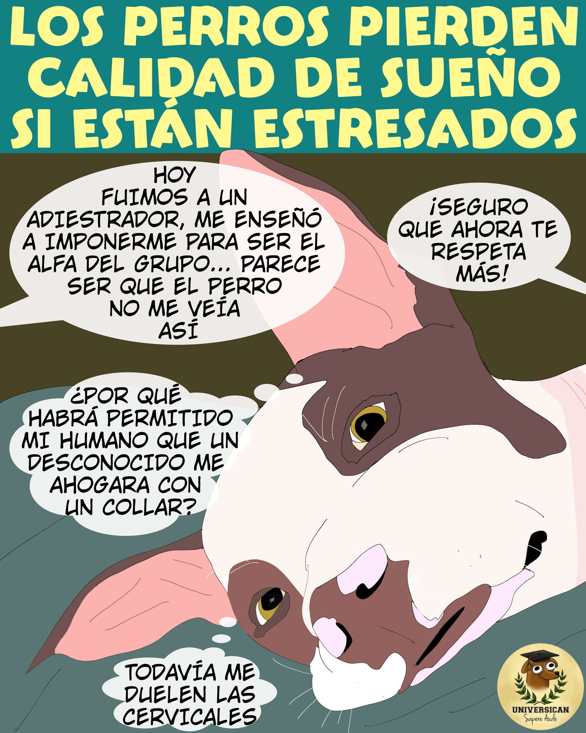 Ilustración de un perro tumbado en cama con cuello rojizo por dolor cervical. Piensa: "¡Todavía me duelen las cervicales!" y "¿Por qué habrá permitido mi humano que un desconocido me ahogara con un collar?". Al fondo, globos humanos dicen: "Hoy fuimos al adiestrador, me enseñó a ser alfa" y "¡Seguro que ahora te respeta más!". Título: "Los perros pierden calidad de sueño si están estresados".
