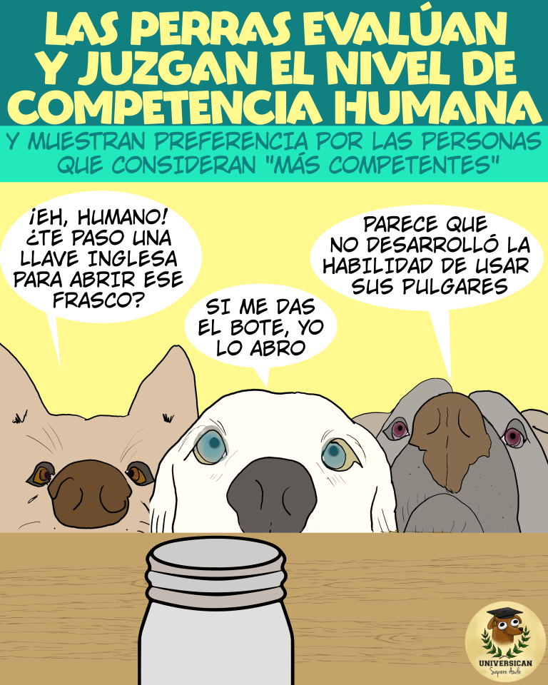 perras juzgando