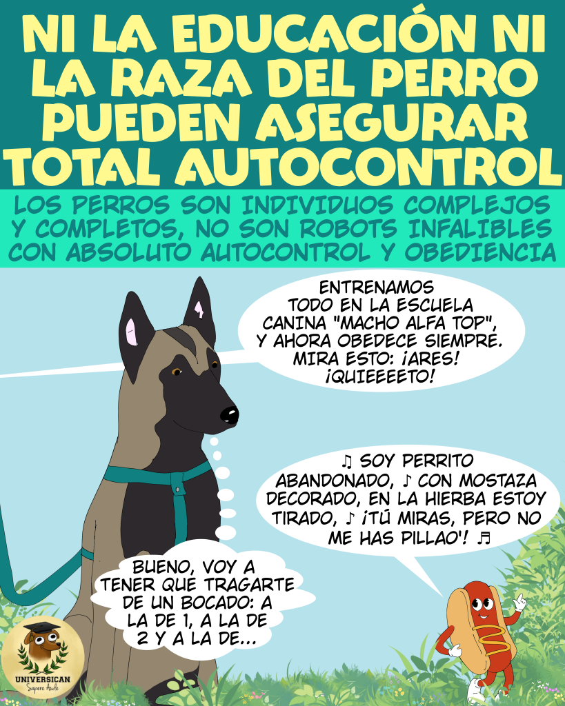 Una persona alardea sobre la obediencia de su perro mientras el perro está a punto de saltar a comer comida del suelo.
