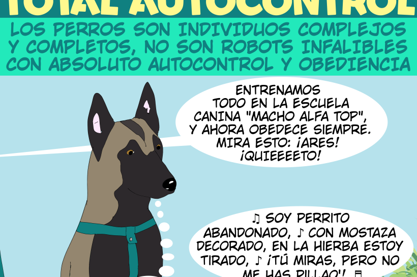 Una persona alardea sobre la obediencia de su perro mientras el perro está a punto de saltar a comer comida del suelo.