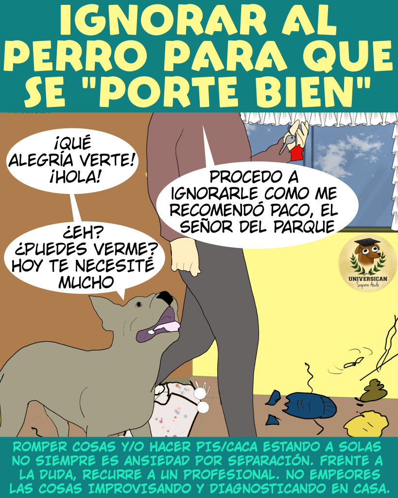 Cómic de 3 cuadros, cuadro 3. Un perro recibe con alegría a su tutor, tras horas de esperar su retorno, solo para sentirse completamente ignorado.