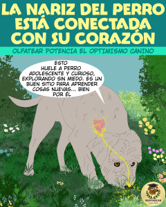 Un perro olfatea, y su corazón se enciende. El título: La nariz del perro está conectada con su corazón.