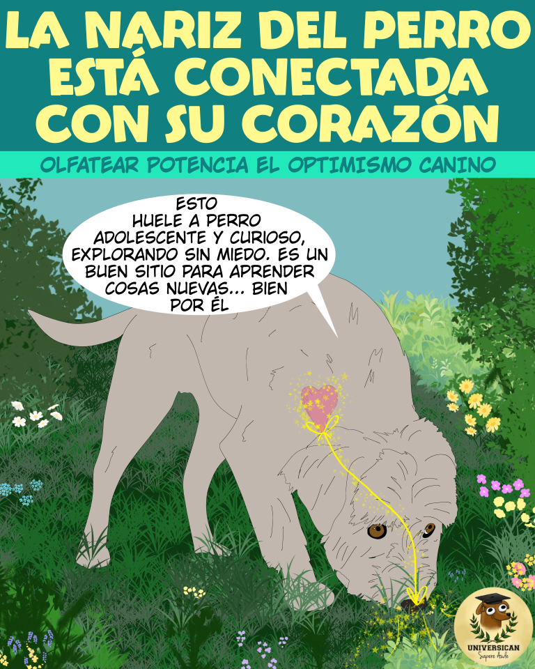 Un perro olfatea, y su corazón se enciende. El título: La nariz del perro está conectada con su corazón.