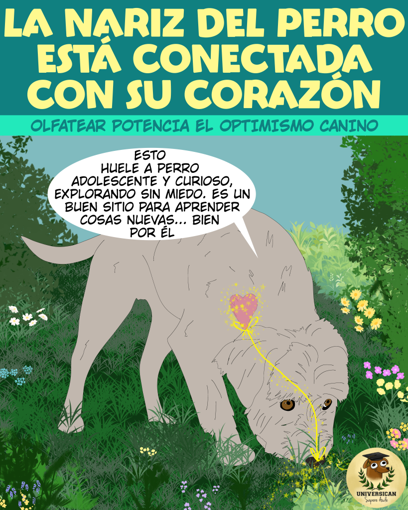 Un perro olfatea, y su corazón se enciende. El título: La nariz del perro está conectada con su corazón.