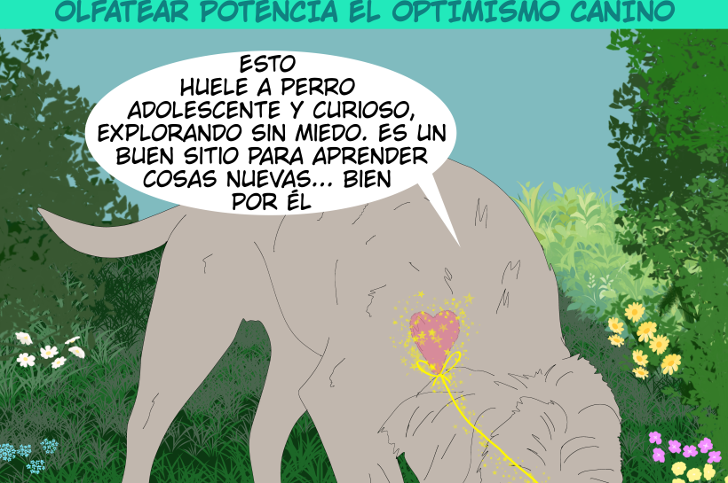 Un perro olfatea, y su corazón se enciende. El título: La nariz del perro está conectada con su corazón.