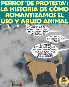 Cómic didáctico de Universican sobre etología cognitiva y perros de protesta.