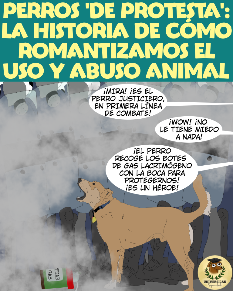 Loukanikos el perro griego de las protestas fue muy malinterpretado.