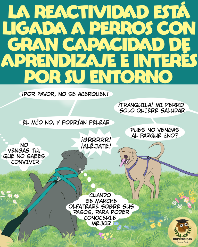 Cómic didáctico de Universican sobre etología cognitiva y perros reactivos.