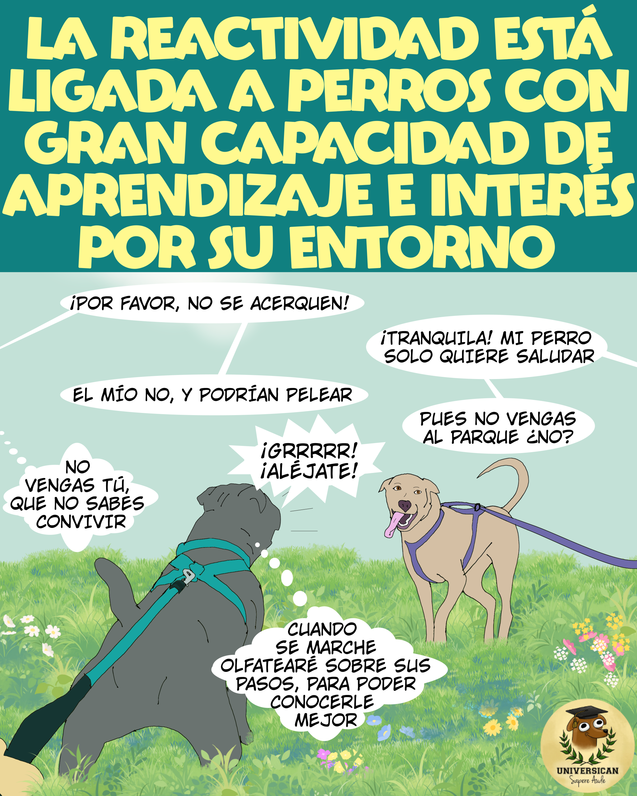 Cómic didáctico de Universican sobre etología cognitiva y perros reactivos.