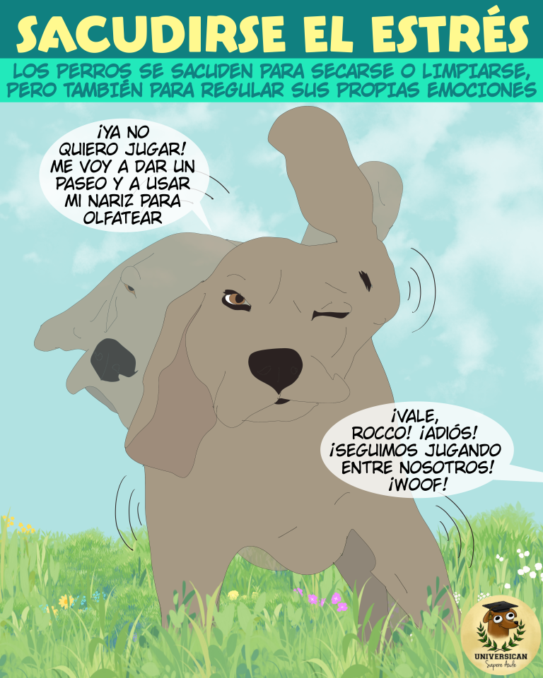 Un perro se sacude para indicar que ya no quiere seguir jugando y los otros perros lo entienden.
