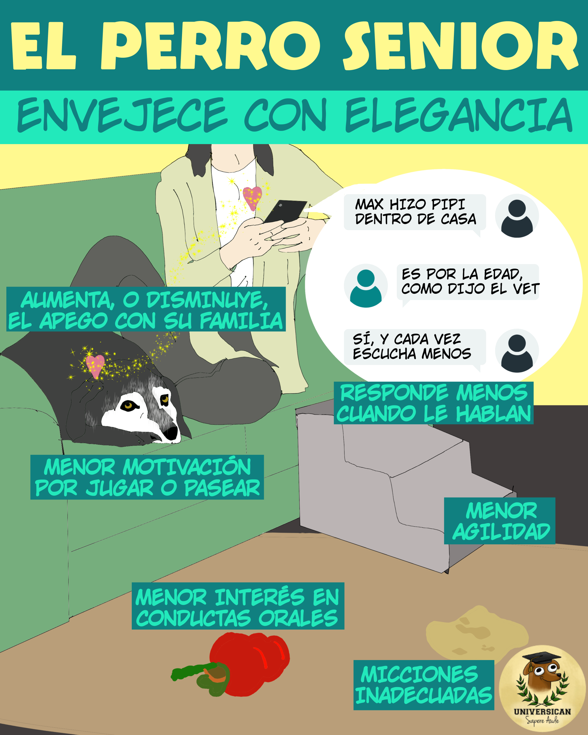 Señales de que el perro está envejeciendo con elegancia.